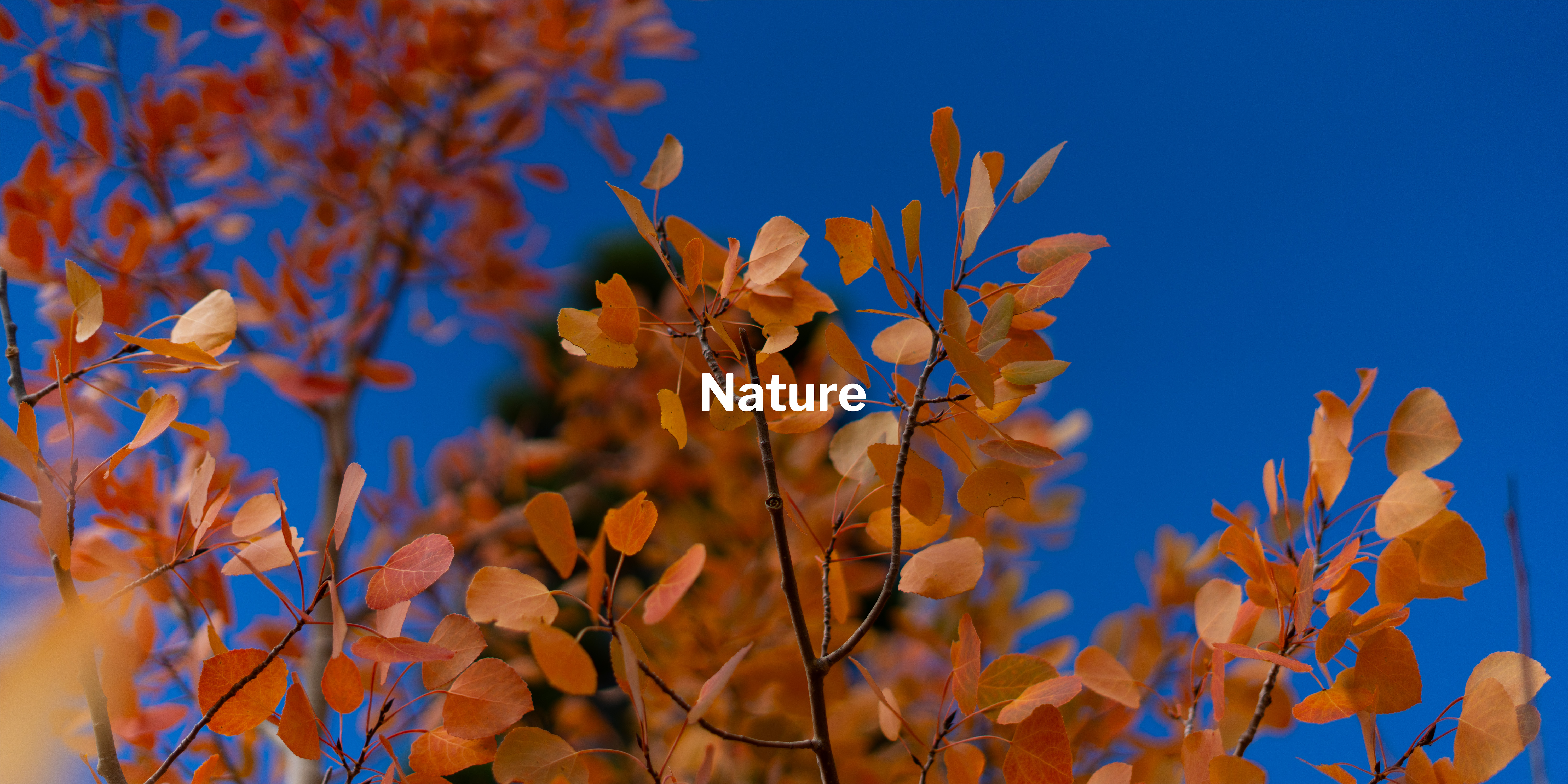Nature